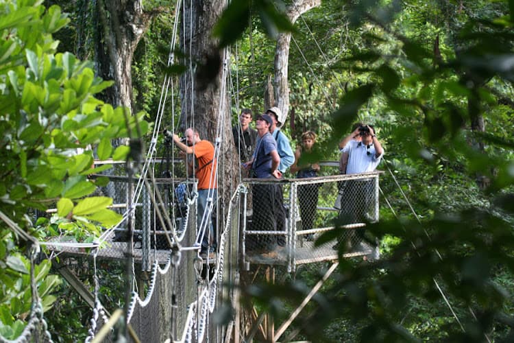Iwokrama Canopy Walkway